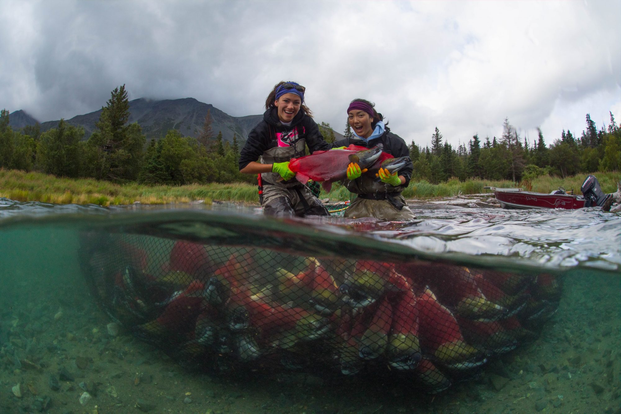 Fishery biologists working